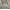 Cream/Grey, variant on SAFAVIEH Retro Hyram Damask Area Rug, Cream/Grey, 2'6" x 4'