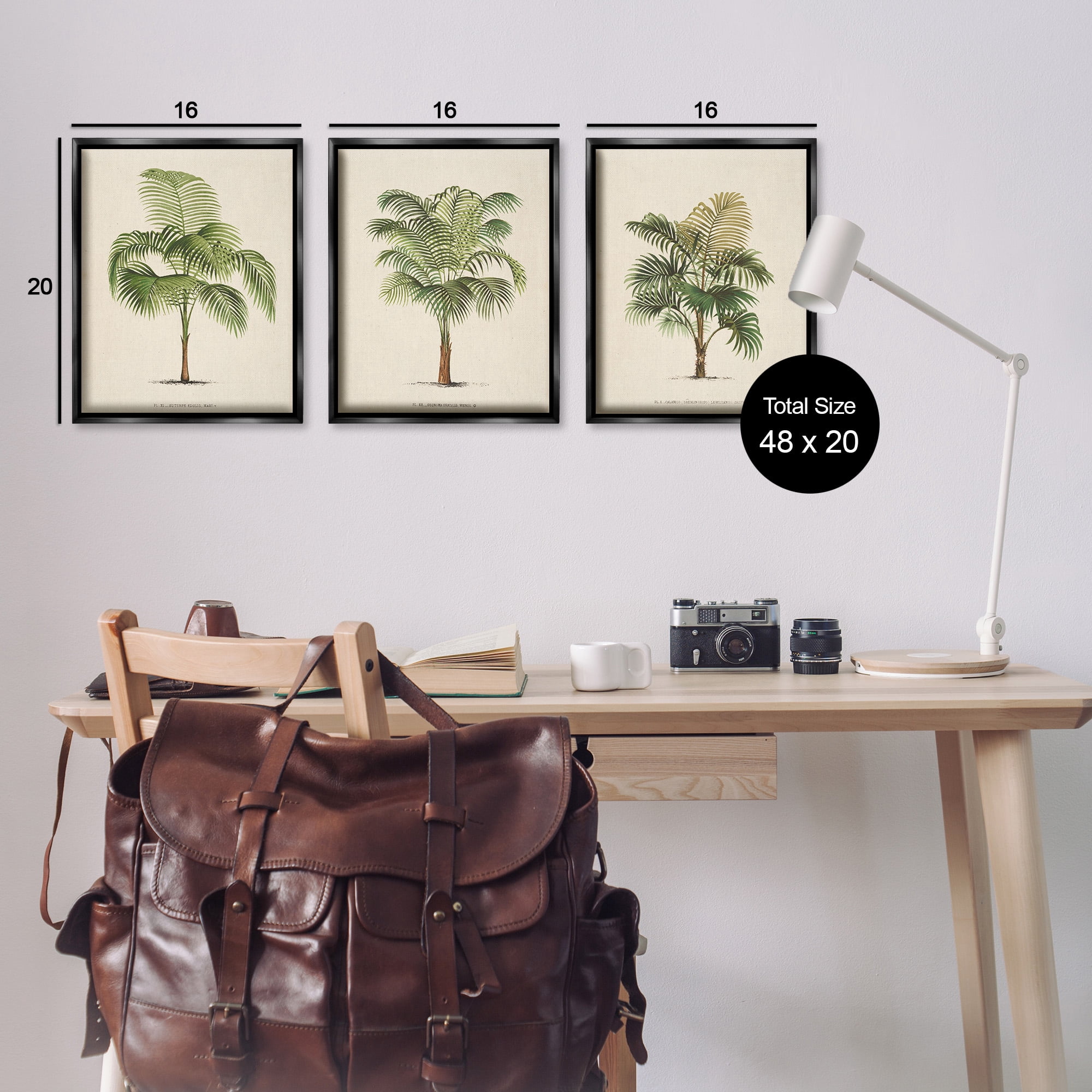 Stupell Industries Les Palmiers Botanical Trio Botanical & Floral Painting Black Floater Framed Canvas Art Print Wall Art, 17 x 21, Set of 3