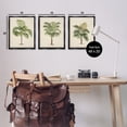 thumbnail image 3 of Stupell Industries Les Palmiers Botanical Trio Botanical & Floral Painting Black Floater Framed Canvas Art Print Wall Art, 17 x 21, Set of 3, 3 of 9