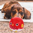 thumbnail image 1 of SEWACC Jouets à Mâcher pour Chiots Jouets à Mâcher pour Chiens Rouges 2 Pcs pour Anniversaire de Chien, 1 of 7