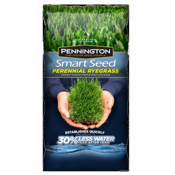 Pennington Seed 100086853 3Lb. Smart Seed Perennial Ryegrass Blend