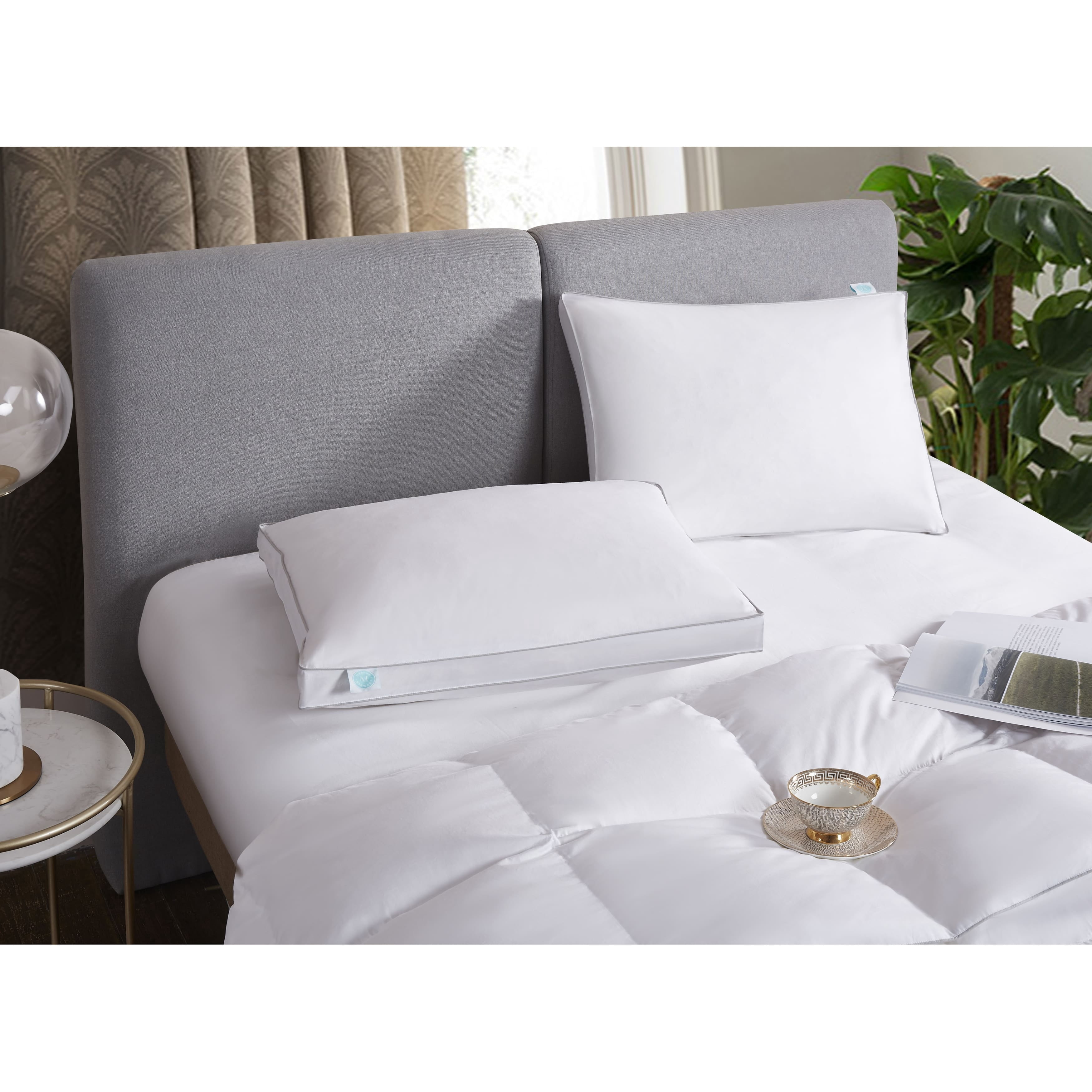 Martha Stewart  White Feather and Down Pillows (Set of 2)