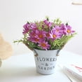 thumbnail image 4 of Naiovety Maceta de margaritas para el hogar, oficina, escritorio, estilo Vintage, decoración falsa, planta en maceta para el hogar, oficina, Flores artificiales rojo purpura Naiovety HA6542-06B, 4 of 6