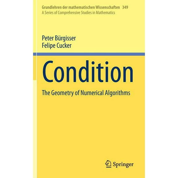 Grundlehren Der Mathematischen Wissensch Condition: The Geometry of Numerical Algorithms, Book 349, (Hardcover)