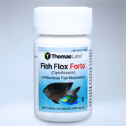 Thomas Labs Fish Flox Forte (Ciprofloxacin) Antibacterial Fish Antibiotic Medication, 30 Count (500 mg. ea.)