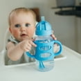 thumbnail image 6 of Dr. Brown's Milestones Wide-Neck Sippy Straw Bottle with Handles, 9oz/270ml, Gray & Blue, 2 Pack, 6 of 10