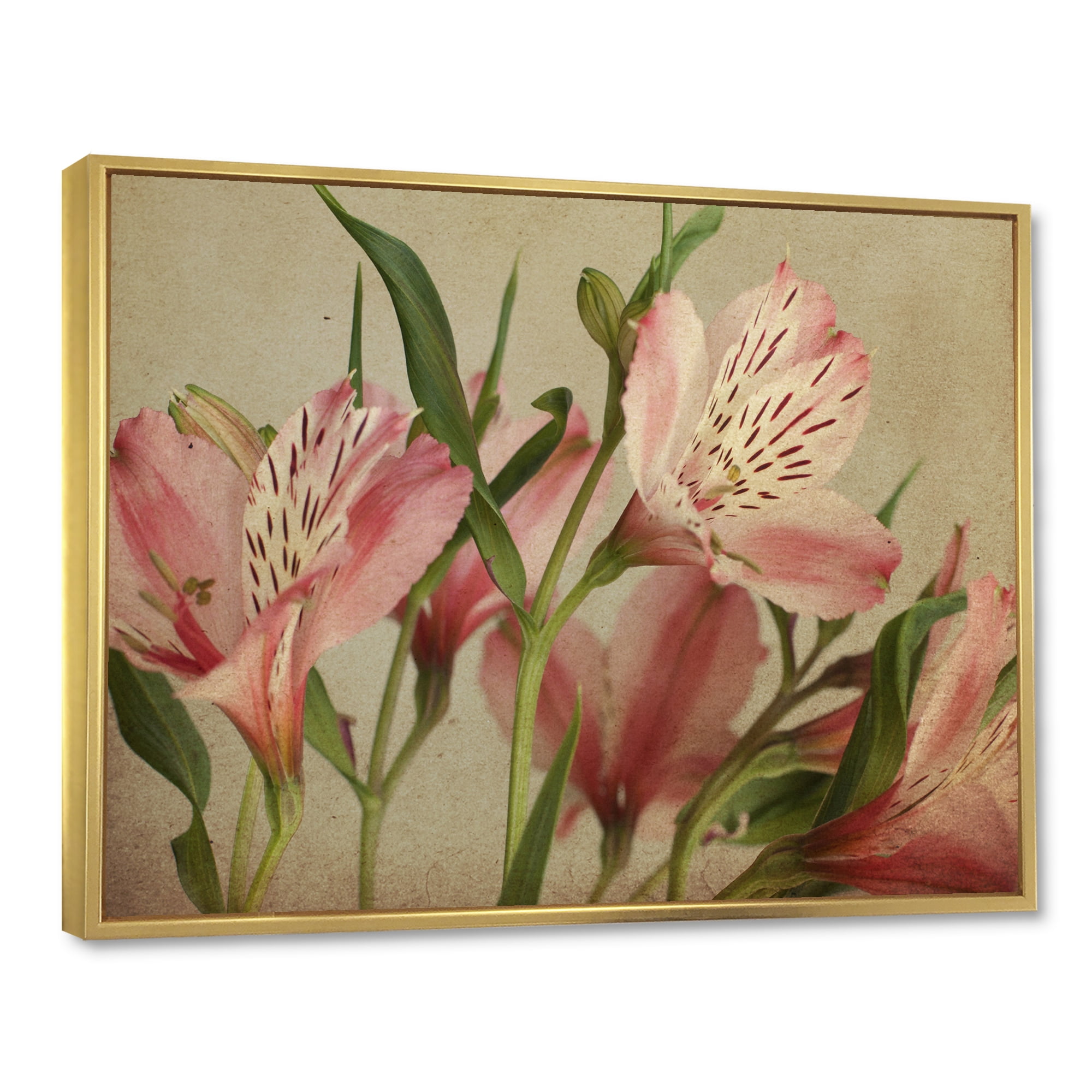 Designart 'Alstroemeria Flower Retro ' Traditional Framed Canvas Wall Art Print