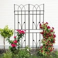 thumbnail image 2 of Hi-GARDEN, 1-YEAR-WARRANTY, 71"(H)*17.7"(W), 4 Pack of Metal Garden Trellis, Rustproof Trellis for Climbing Plants Outdoor Flower Support(Black), 2 of 6