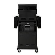 Permasteel 2-Burner Compact Propane Gas Grill with Foldable Sides, Black with Copper Accent