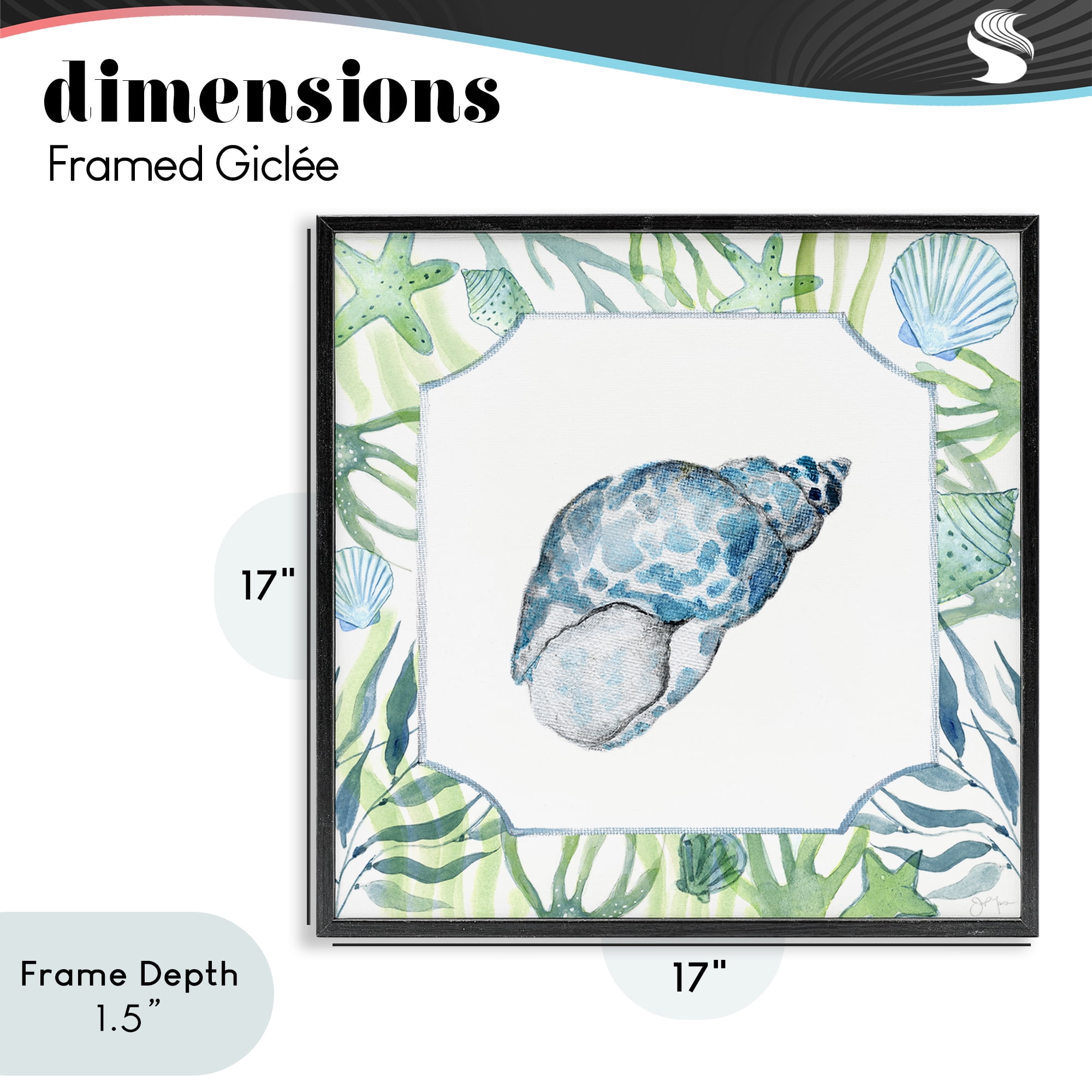 Stupell Industries Spotted Cowrie with Seaweed Black Framed Giclee Art, design by Janet Tava
