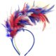 thumbnail image 1 of Diadema de plumas para fiestas, festivales, espectáculos, festivales, carnavales, joyas, 1 of 6