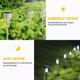 thumbnail image 4 of 16 focos Led Solar Led Estaca Garden And, 4 of 5
