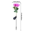 thumbnail image 3 of EWASWON Christmas Artificial Rose Solar Stake Lights - Purple LED, Waterproof Outdoor Garden Lawn Decor, Seasonal Christmas Gift for Patio, 3 of 9