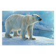 thumbnail image 5 of JRXY Polar Bear Snow Ice Wooden Jigsaw Puzzle Challenging Difficult Wood Puzzles for Adults 1000 PCS, 5 of 6