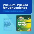 thumbnail image 2 of SCRUBIT 48-Count Sponges Kitchen for Dishes Cleaning - Non-Scratch Dish Scrub Sponge - Packaging May Vary, Natural Cellulose Kitchen Sponge, 2 of 7