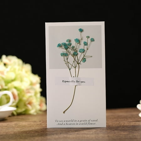 Creative Dried Flowers Greeting Card Best Wishes Flower For Birthday Day Mothers (Best Wishes For Birthday To Sister)