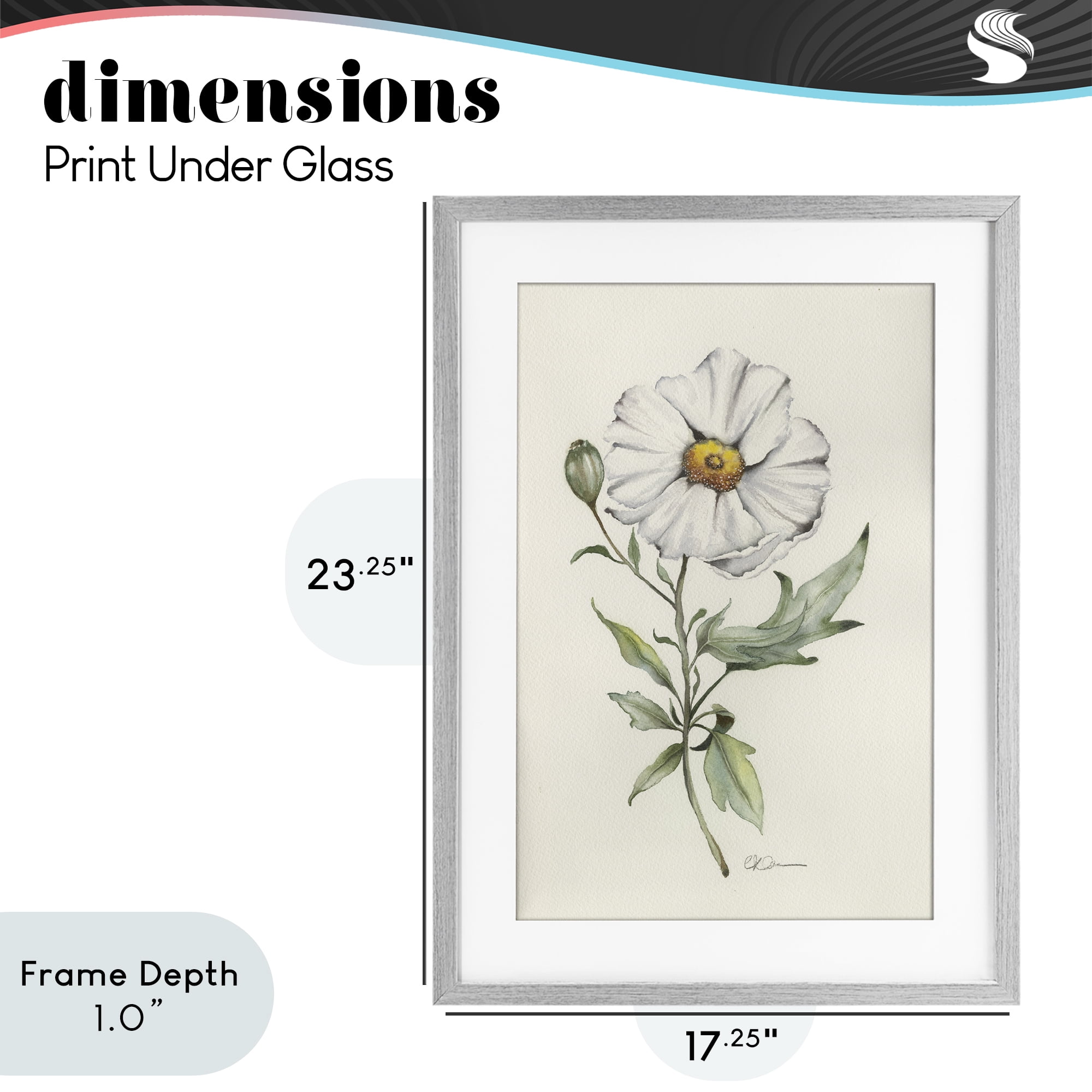 Stupell Industries Natural Wild Blossom Sprig Gray Framed Print Under Glass, design by Cady Driver