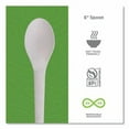 thumbnail image 4 of Eco-Products Plantware Compostable Cutlery, Spoon, Plastic, White, 1,000/Carton, 4 of 5