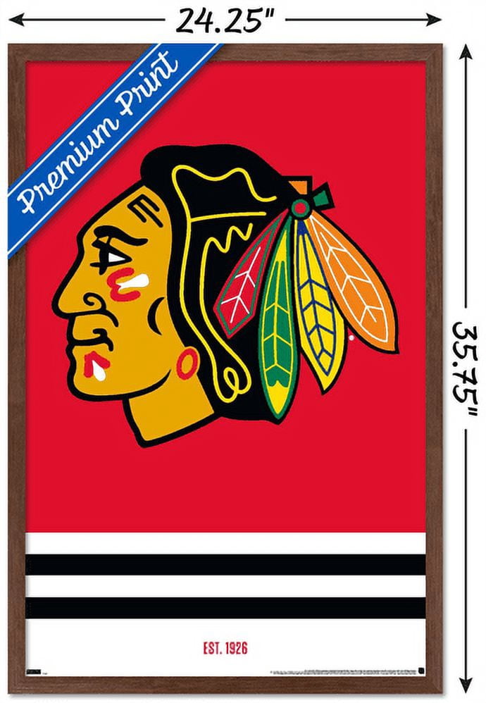 NHL Chicago Blackhawks - Logo 21 Wall Poster, 22.375" x 34", Framed