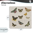 thumbnail image 4 of Stupell Industries Eclectic Antique Butterfly Flight Canvas Art, 17 x 17, by Dan Meneely, 4 of 8