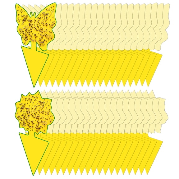 Minzimin 40 Pack Fungus Gnat Traps for House Indoor Yellow Sticky Traps for Gnats Sticky Traps for Plants, Dual-Sided Fungus Gnat Sticky Traps Fruit Fly Traps for Indoors
