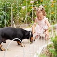 thumbnail image 6 of AMAGABELI GARDEN & HOME 14panels Decorative Garden Fences and Borders for Dogs 32in(H)×20ft(L) No Dig Metal Fence Panel Garden Edging Border Fence For Animal Barrier Fencing for Flower Bed Yard Green, 6 of 13