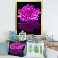 thumbnail image 3 of Designart 'Single Purple Chrysanthemum Flower On Black Reflection' Traditional Framed Art Print, 3 of 4