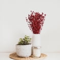 thumbnail image 3 of Tallos Artificiales, Bayas, Plantas de Simulación DIY para Decoración, Mesa de Cena , rojo Fernando tallo de baya feke, 3 of 7