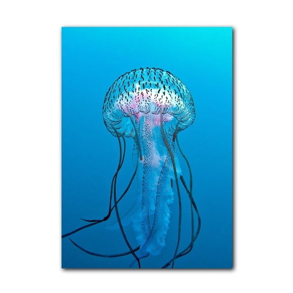 Ready2HangArt  'Jelly Fish' Wrapped Canvas Wall Art