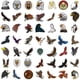 thumbnail image 3 of Calcomanías impermeables de vinilo Stickers Eagle, 50 unidades, 3 of 3