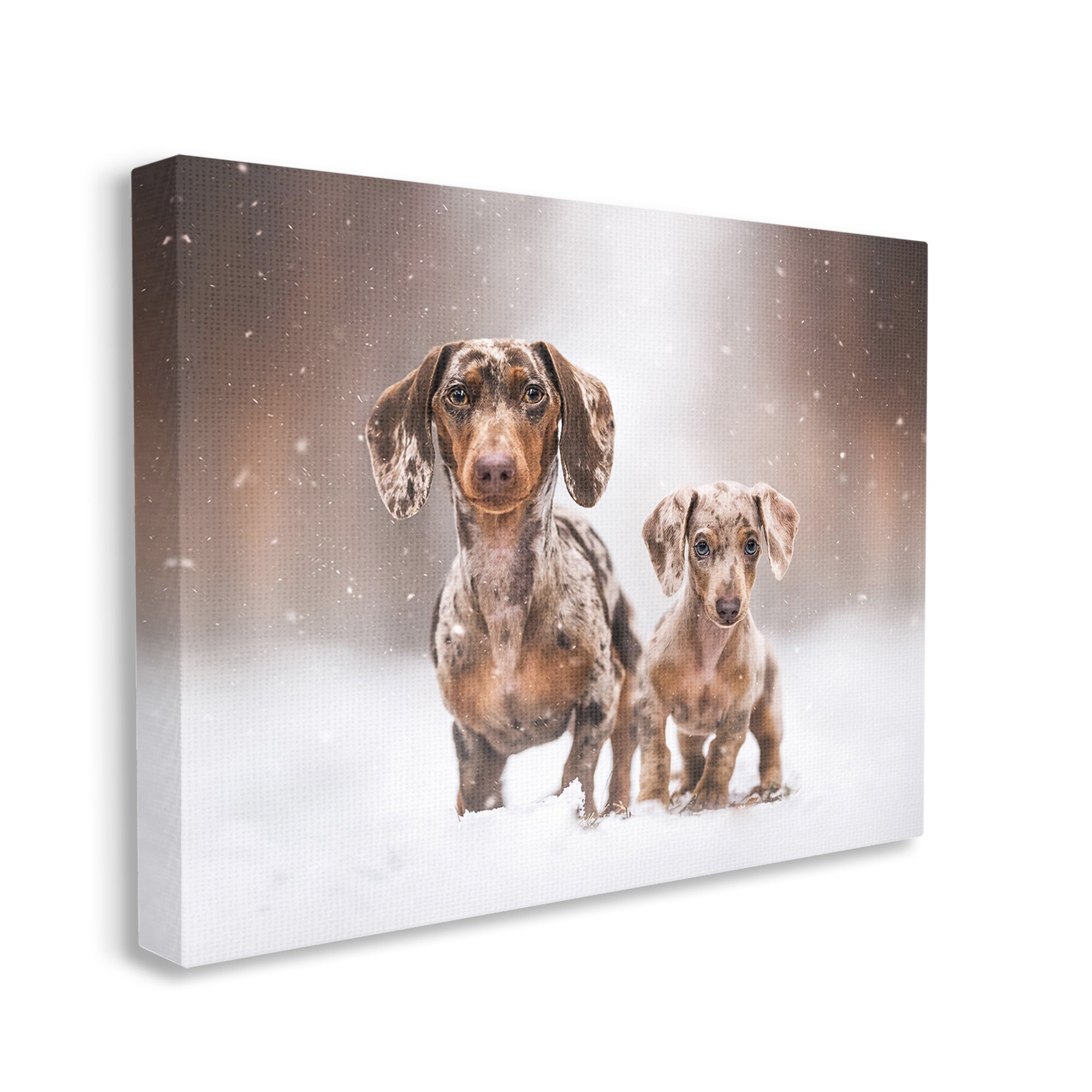 Stupell Industries Playing Puppies in Snow Animals & Insects Painting Gallery Wrapped Canvas Art Print Wall Art, 20 x 16