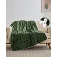 thumbnail image 1 of Ourlova Heated Throw Blanket Electric Blanket Throw Velvet Soft Cozy Heating Blankets Throw 4 Heat Levels and 4H Auto Off Machine Washable Overheat Protection ETL Certified 50x60 Inch Green, 1 of 8