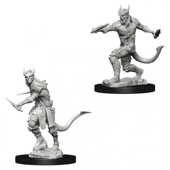 Dungeons & Dragons Nolzurs Marvelous Unpainted Tiefling Male Rogue W5 Miniature