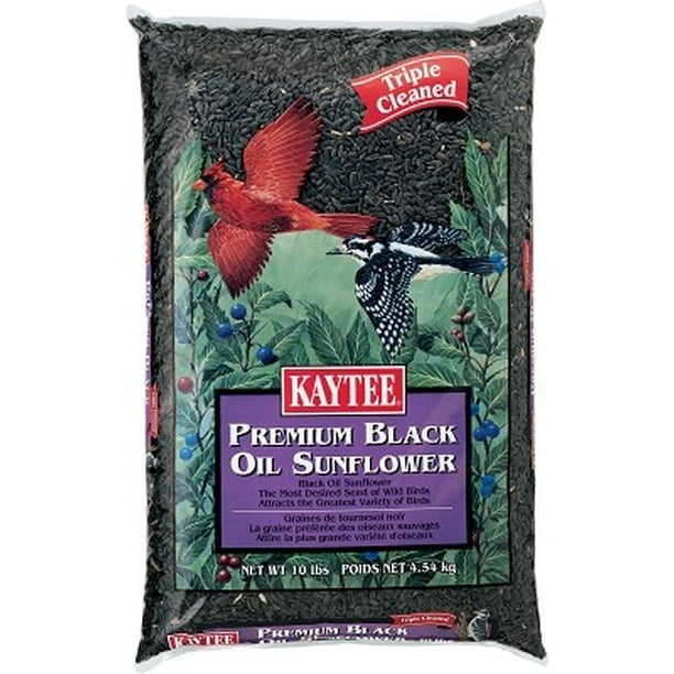 Kaytee Oil Sunflower Bird Food, 10 Lb