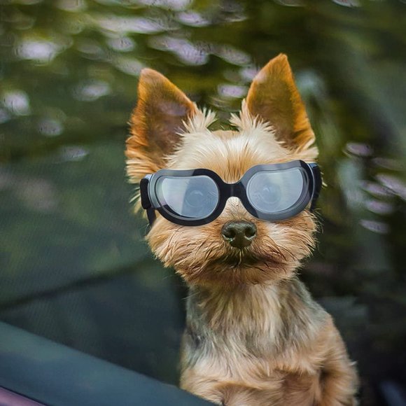 Small Dog Goggles Anti-UV Dog Sunglasses Waterproof Windproof Snowproof Doggy Glasses with Flexible Straps for Cat, Puppy(Black)