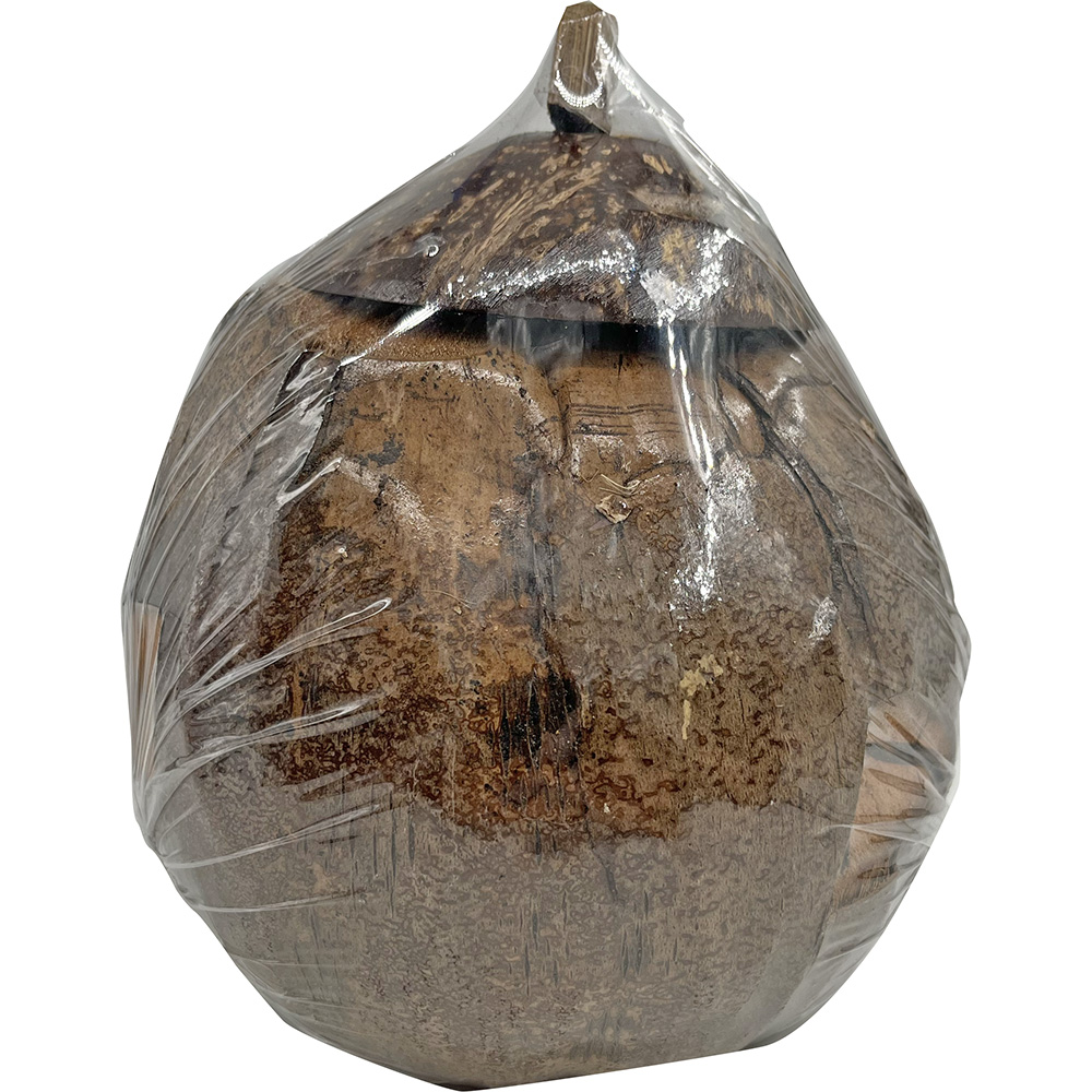 South Seas Native Treasures Real Coconut Monkey Money Bank