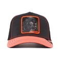 thumbnail image 1 of Gorra Goorin Bros Unisex Pantera 1010936BLK Negro Unitalla Goorin Bros The Farm, 1 of 6