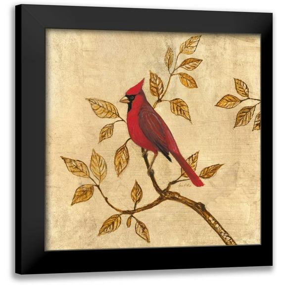 Fisk, Arnie 12x12 Black Modern Framed Museum Art Print Titled - Golden Cardinal