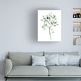 thumbnail image 3 of Grace Popp 'Seaglass Eucalyptus II' Canvas Art, 3 of 3
