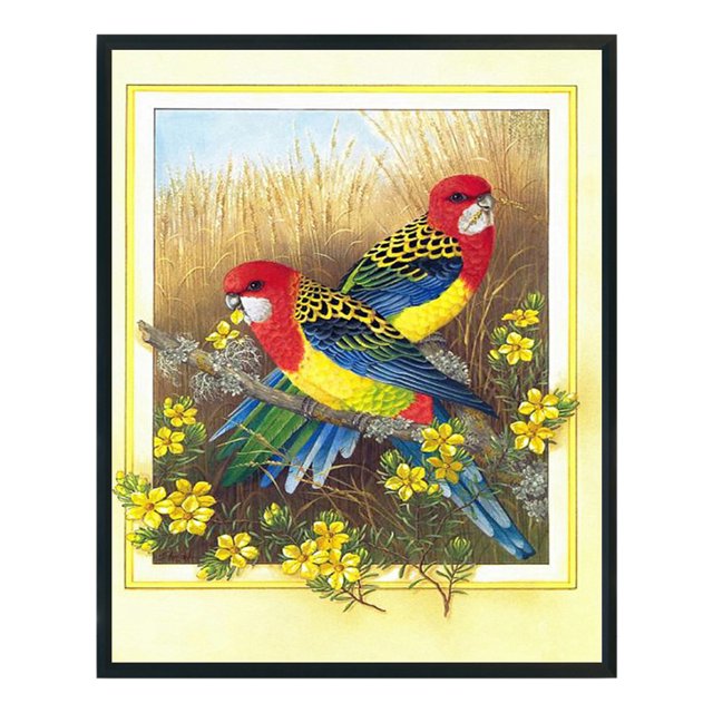Cuadros Decorativos Bordado completo hilo de algodón ecológico 11CT impreso loro Kit de punto de cruz ilustraciones Wdftyju embutido en tela