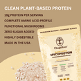 thumbnail image 6 of ChagaRoot Mycoprotein Mushroom Protein Powder Vanilla - Vegan, Plant-Based, Superfood Blend - 1.76 lb, 6 of 9