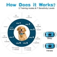 thumbnail image 4 of USB Rechargeable Ultrasonic Anti-Barking Training Collar for Dogs with Vibration Feature, 4 of 14