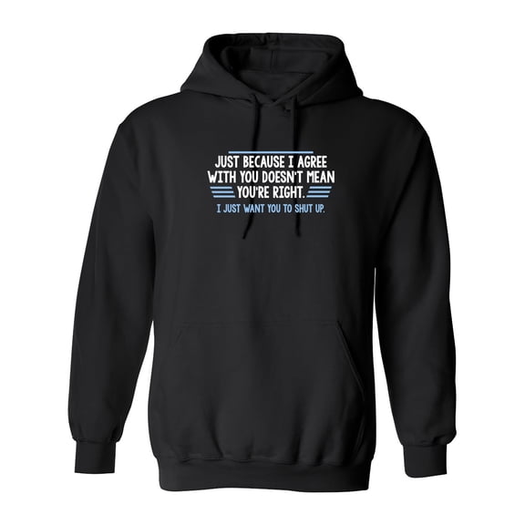 Just Because I Agree With You Doesn't Mean You're Right Sarcastic Novelty Gift Idea Adult Humor Funny Men's Hoodies