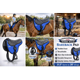 thumbnail image 5 of Horse Neoprene Padded Anti-Slip Bareback Saddle Pad 39TS06RB, 5 of 5