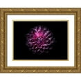 thumbnail image 1 of Carson, Brian 14x11 Gold Ornate Wood Framed with Double Matting Museum Art Print Titled - Backyard flowers 57, 1 of 4