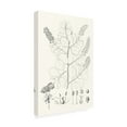 thumbnail image 2 of Vision Studio 'Illustrative Leaves IV' Canvas Art, 2 of 3