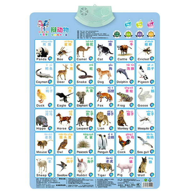 Toyfunny Electronic Interactive Alphabet Wall Chart, Talking ABC & 123s &  Music Poster 