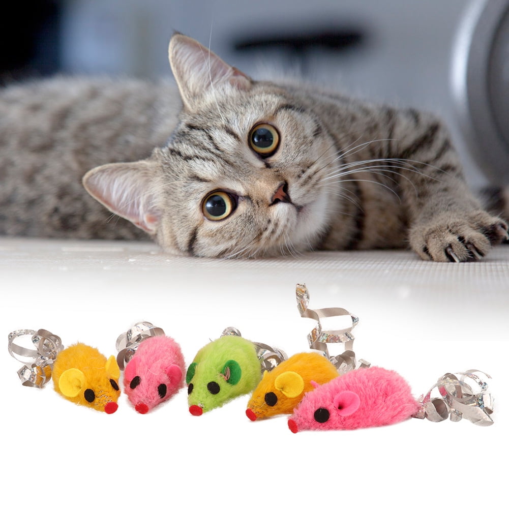 Trainning Toy, Playing Trainning Toy Pet Chewing Toy, With The Sound