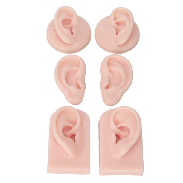Modelo De Oreja De Silicona Suave (derecha) Con Soporte Acrílico - Para Practicar Piercings O Mostrar Joyería