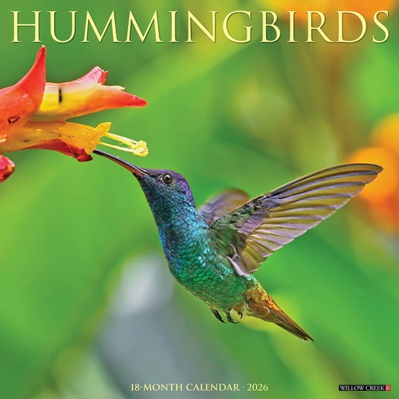 Hummingbirds 2026 Wall Calendar, (Paperback)